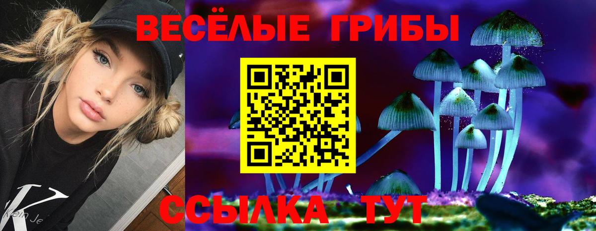 купить   Галлюциногенные грибы Psilocybe  Вход с VPN  Северобайкальск 